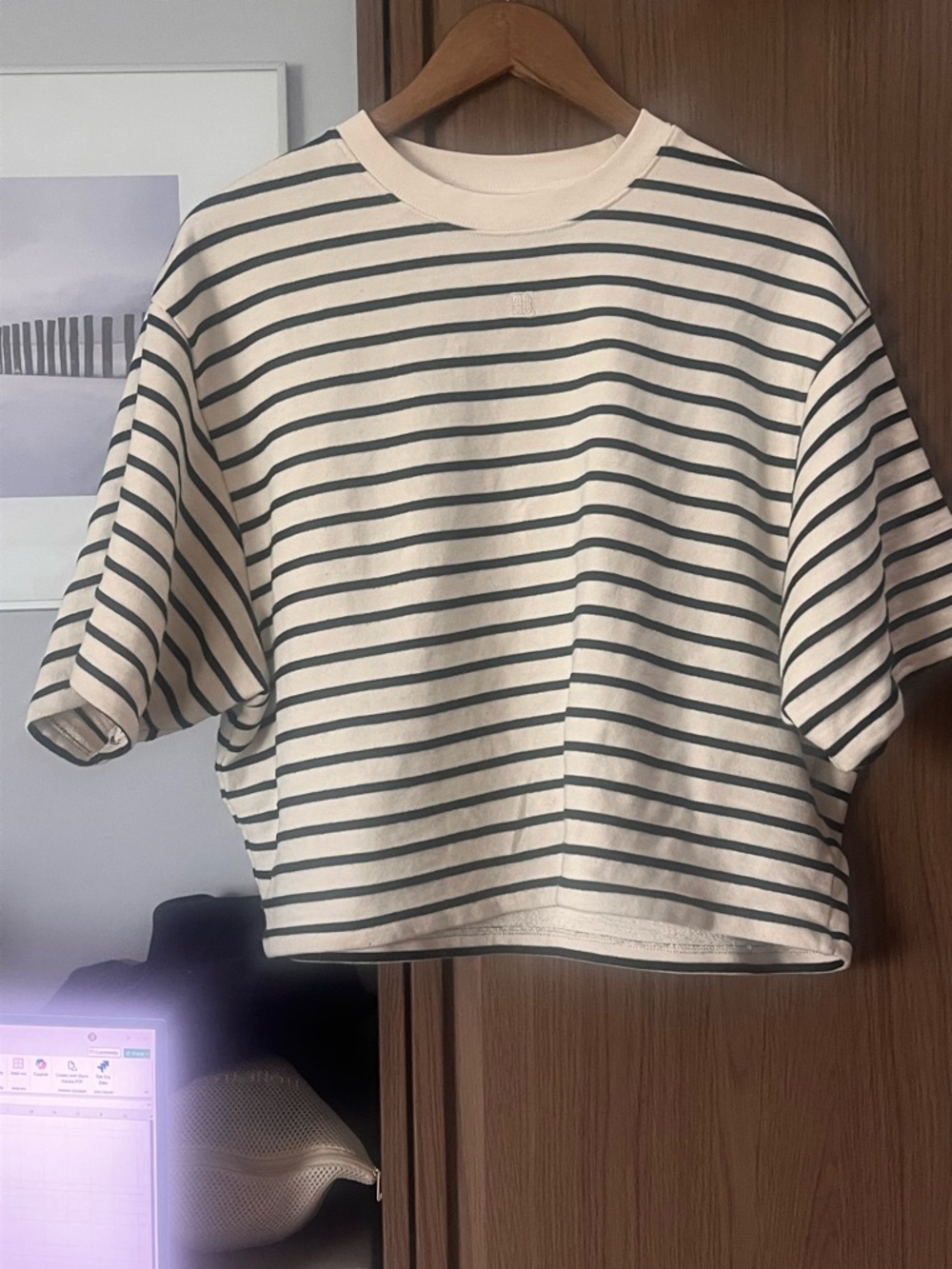 Anine Bing Cream & Dark Green Striped Boxy Crewneck